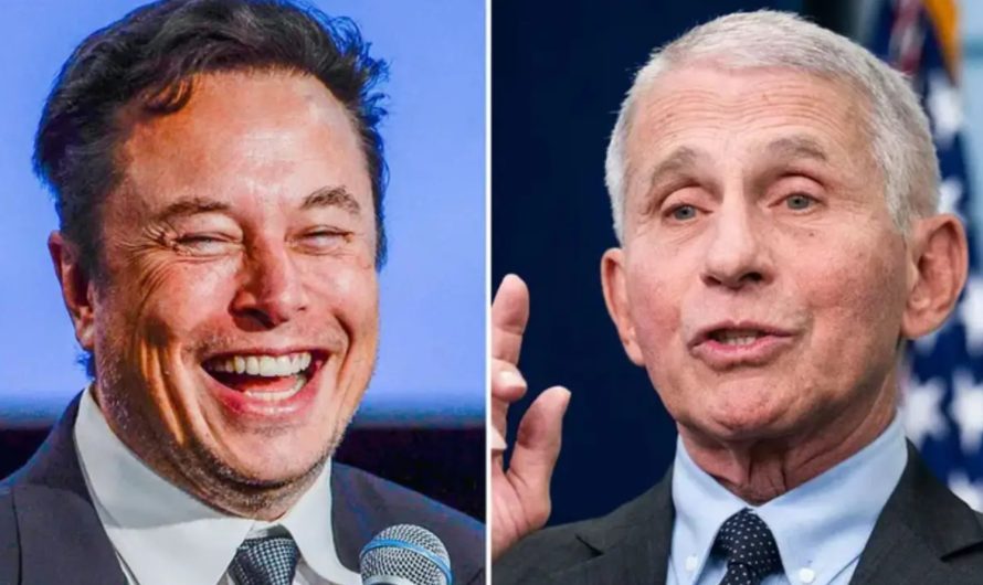 Elon Musk Drops Hammer: “My pronouns are Prosecute/Fauci”